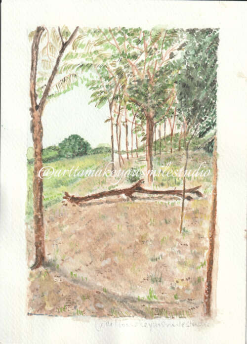 Nature's Mosaic: Broken Branch Solitude