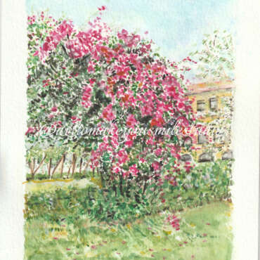 Blossoms in Bloom: Golf Club Elegance