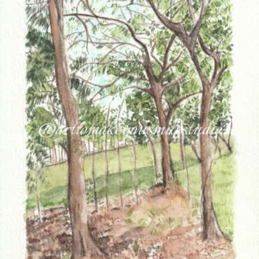 Woodland Whispers: Golf Course Tranquility