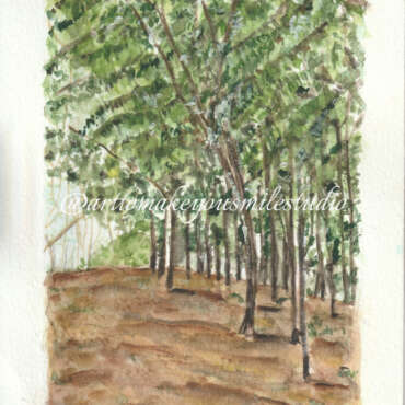 Nature's Edge: Woodland Haven