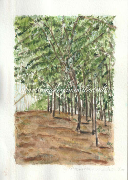 Nature's Edge: Woodland Haven