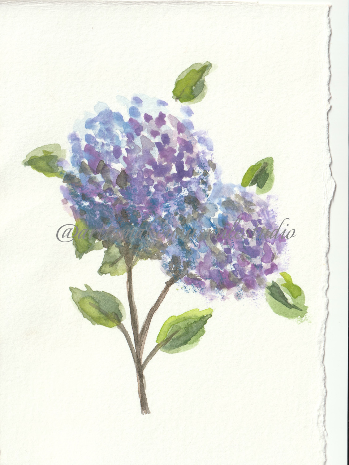 Hydrangea Hues: A Watercolor Branch in Blue and Violet