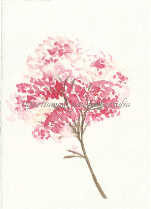 Pink Hydrangea Elegance: A Watercolor Portrait