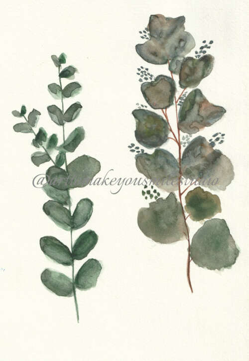 Eucalyptus Elegance: A Watercolor Duo