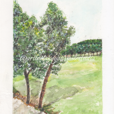 Greenscape View - Overlooking the Golf Course