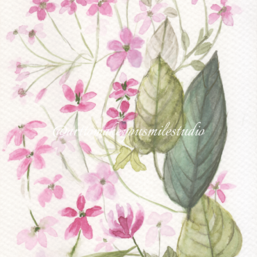 Petals of Grace