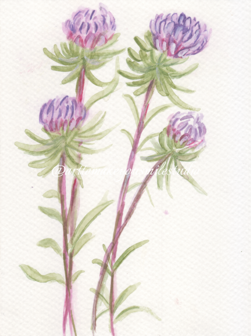 Blooming Vividness