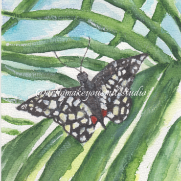 Wings of Intricacy