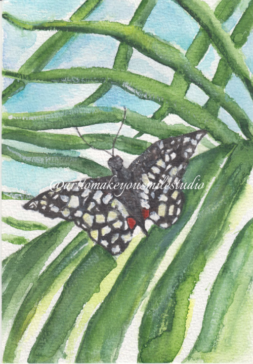 Wings of Intricacy