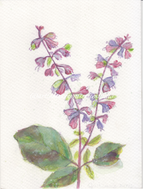 Floral Dance