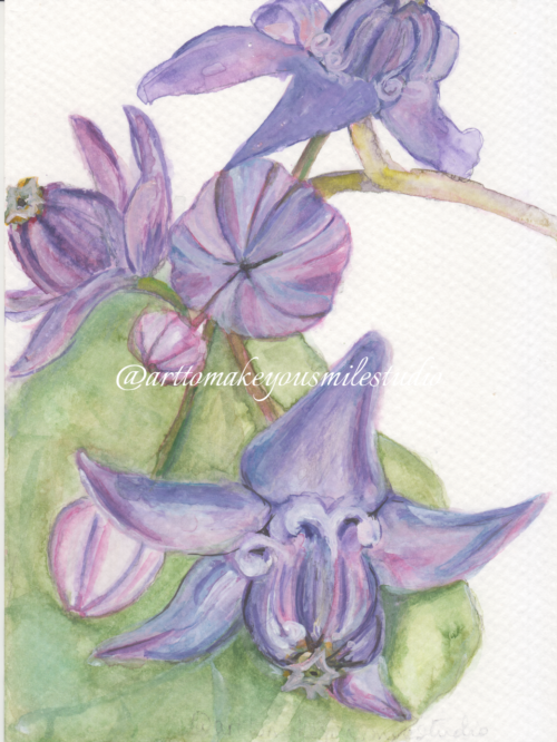 Floral Embrace