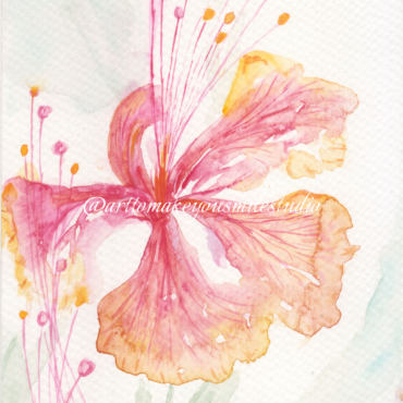 Hibiscus Harmony